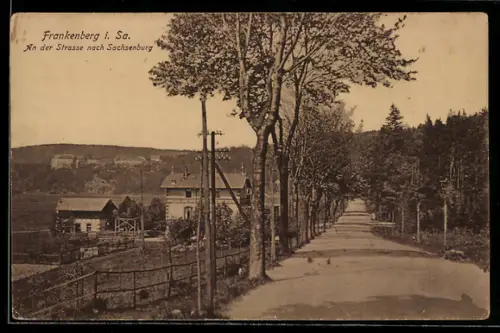 AK Frankenberg i. Sa., Strasse nach Sachsenburg mit Bäumen