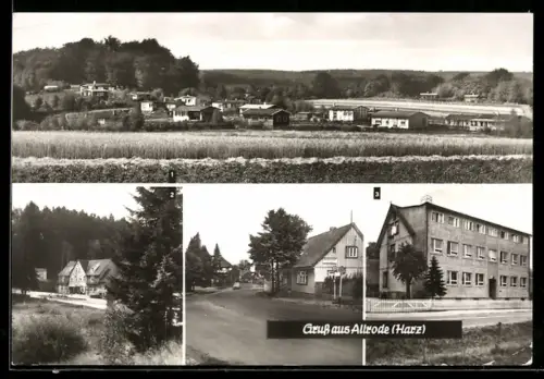 AK Allrode /Harz, Bungalowsiedlung, Luppbodemühle, Klinik für Lungenkrankheiten