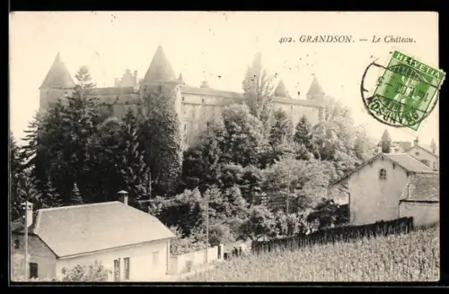 AK Grandson, Le Château