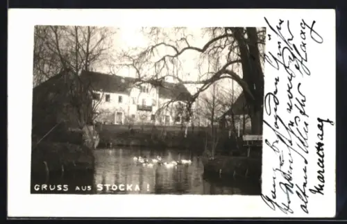 AK Langquaid, Schloss Stocka mit Enten