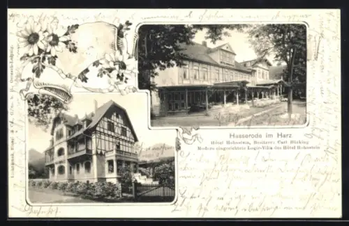 Passepartout-AK Hasserode /Harz, Hotel Hohnstein C. Bücking und Logier-Villa des Hotels