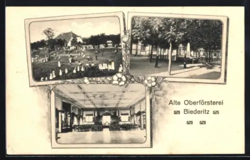 AK Biederitz, Gasthof Alte Oberförsterei, Innenansicht, Garten