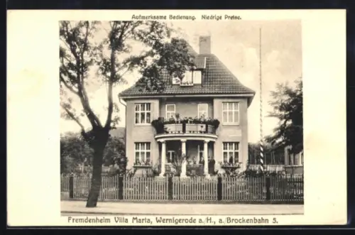 AK Wernigerode a/H, Fremdenheim Villa Marta
