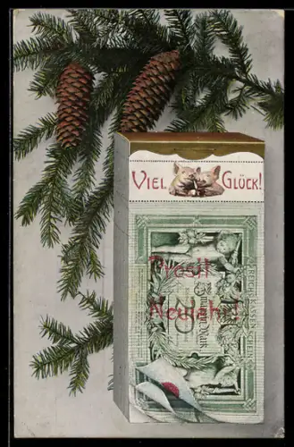 AK Reichskassenschein Zwanzig Mark unter Tannenzapfen, Geld