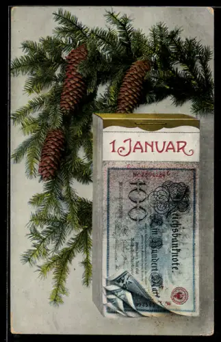 AK Reichsbanknote 100 Mark, Tannenzweig mit Zapfen