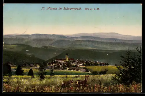 AK St. Märgen im Schwarzwald, Ortsansicht mit Umgebung und Rehen