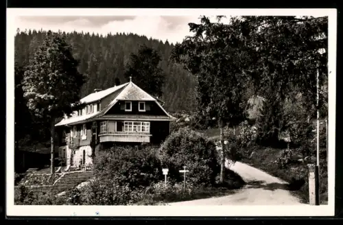 AK Blasiwald /Schluchsee, Fremdenheim Haus Schwörer