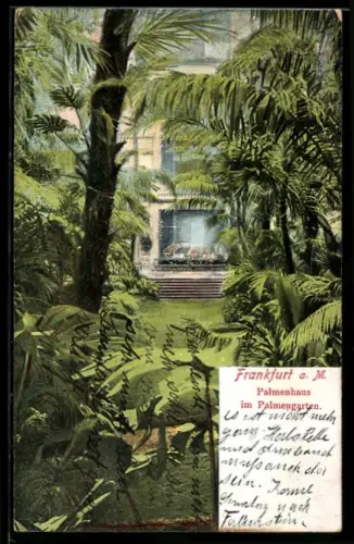 AK Frankfurt-Westend, Palmenhaus im Palmengarten