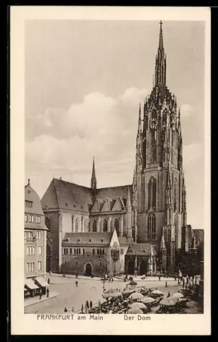 AK Alt-Frankfurt, Dom und Marktbetrieb