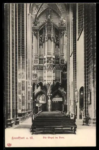 AK Alt-Frankfurt, Orgel im Dom