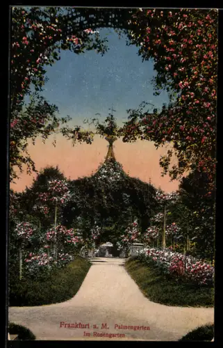 AK Frankfurt-Westend, Palmengarten, Im Rosengarten