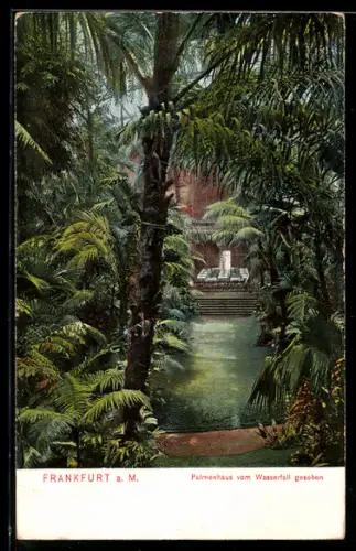 AK Frankfurt-Westend, Palmenhaus, Wasserfall