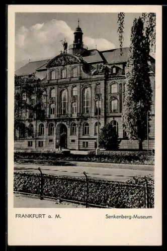 AK Frankfurt-Westend, Senckenberg-Museum
