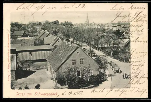 AK Schwarzenbek, Teilansicht des Ortes mit Kirche