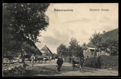 AK Schwarzenbek, Partie in der Bismarck Strasse mit Kühen