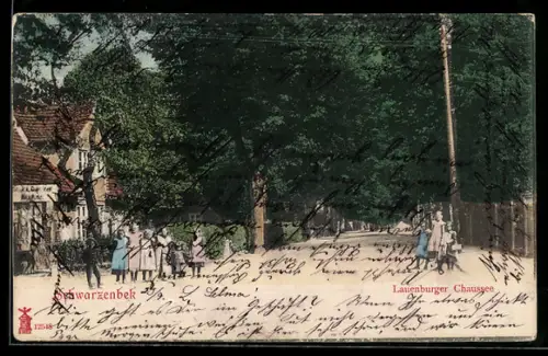 AK Schwarzenbek, Partie in der Lauenburger Chaussee mit Passanten