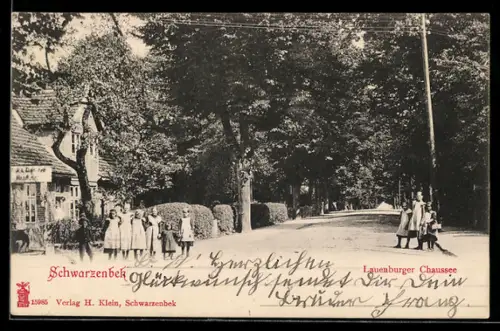 AK Schwarzenbek, Partie in der Lauenburger Chaussee