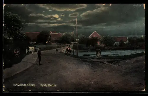 AK Schwarzenbek, Partie am Teich mit Kühen