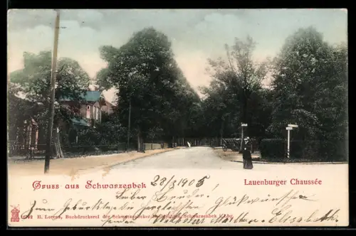 AK Schwarzenbek, Strassenpartie der Lauenburger Chaussée