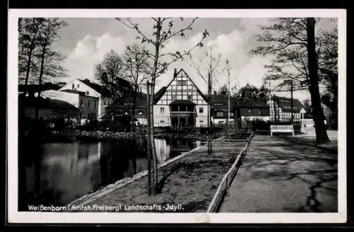 AK Weissenborn /Freiberg, Landschafts-Idyll am Dorfteich