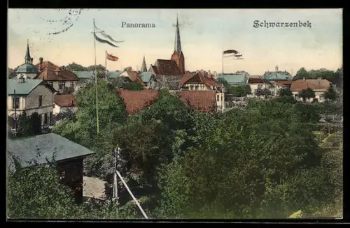 AK Schwarzenbek, Panorama mit Kirche