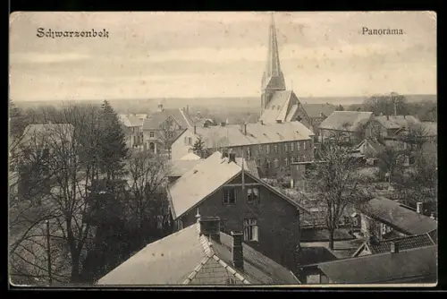 AK Schwarzenbek, Panorama des Ortes mit Sicht nach der Kirche