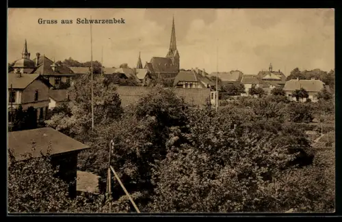 AK Schwarzenbek, Ortsansicht mit Kirche und Wohnhäusern