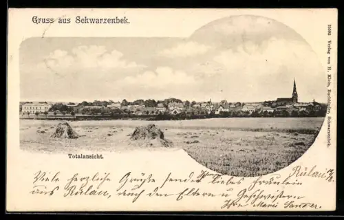 AK Schwarzenbek, Totalansicht des Ortes vom Feld aus