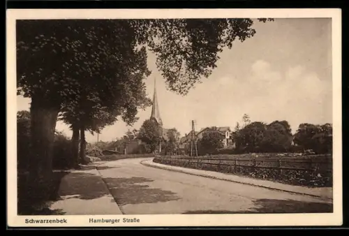 AK Schwarzenbek, Hamburger Strasse mit Sicht nach der Kirche