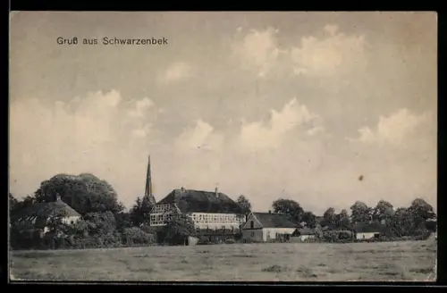 AK Schwarzenbek, Teilansicht von der Feldflur aus
