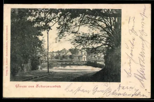 AK Schwarzenbek, Teilansicht des Ortes mit Teich