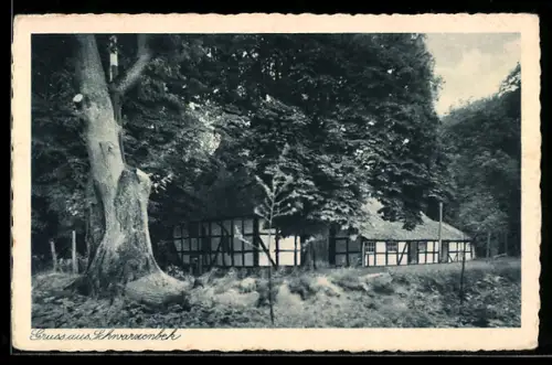 AK Schwarzenbek, Fachwerkgebäude am Waldrand