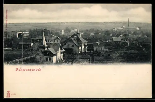 AK Schwarzenbek, Ortsansicht aus der Vogelschau