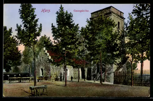 AK Thale /Harz, Gasthof Georghöhe