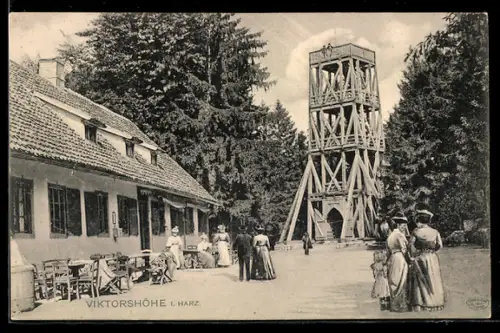 AK Viktorshöhe i. Harz, Aussichtsturm und Gasthaus
