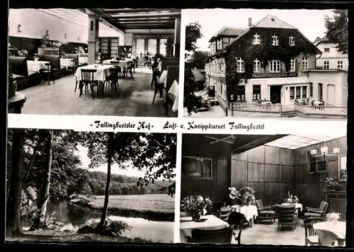AK Fallingbostel, Hotel Fallingbosteler Hof, Inh. W. Schöning, Aussenansicht, Speisesaal, Parkansicht