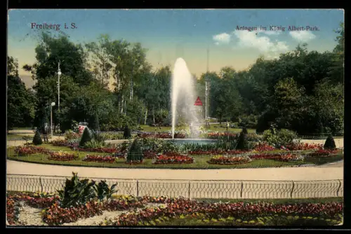 AK Freiberg i. S., Anlagen im König Albert-Park