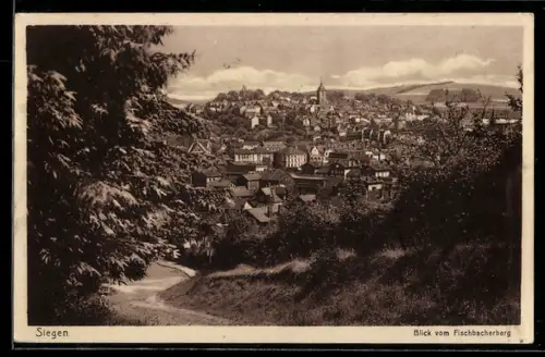 AK Siegen, Blick vom Fischbacherberg zur Stadt