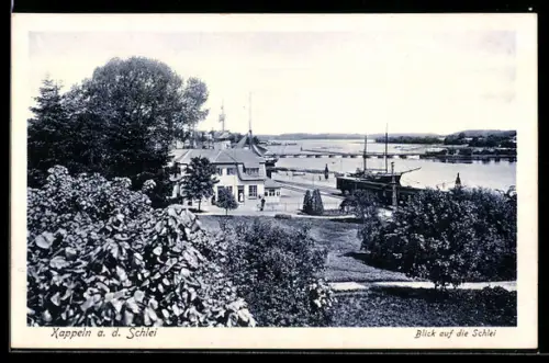 AK Kappeln a. d. Schlei, Blick auf die Schlei