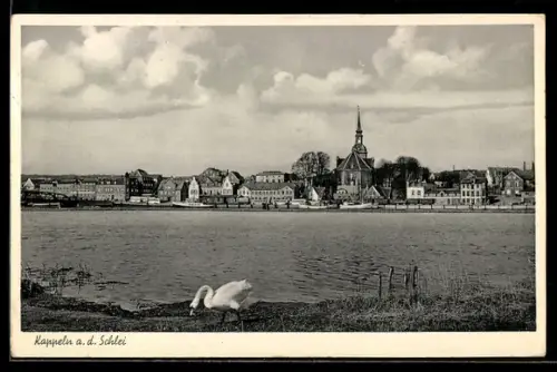 AK Kappeln a. d. Schlei, Ortspanorama mit Kirche und Schlei
