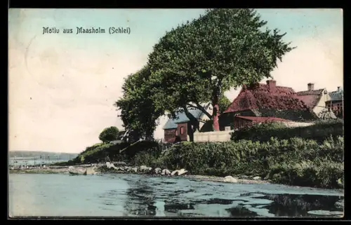 AK Maasholm /Schlei, Uferansicht mit Häusern und Bäumen