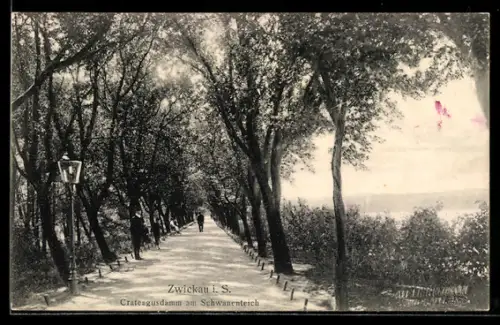 AK Zwickau i. S., Crateagusdamm am Schwanenteich