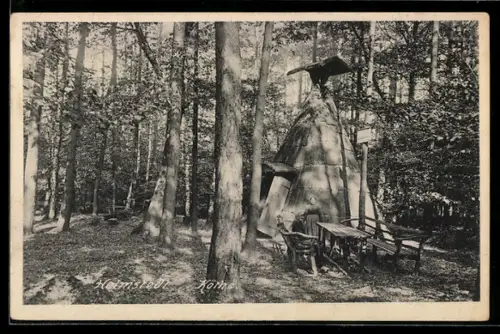 AK Helmstedt, Köthe, Waldpartie mit Haus