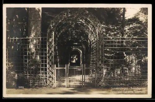 AK Schwetzingen, Schlossgarten, Fernsicht optische Täuschung