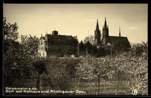 AK Geisenheim a. Rh., Rathaus und Rheingauer Dom