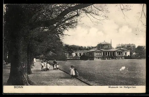 AK Bonn, Museum im Hofgarten