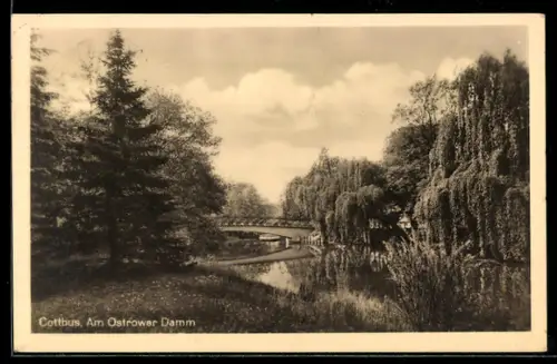 AK Cottbus, Am Ostrower Damm