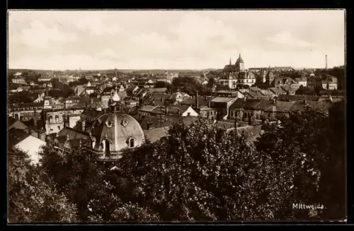 AK Mittweida, Teilansicht mit Kirche