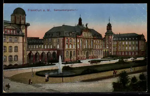 AK Frankfurt-Westend, Senckenbergianum, Brunnen, Parkanlage