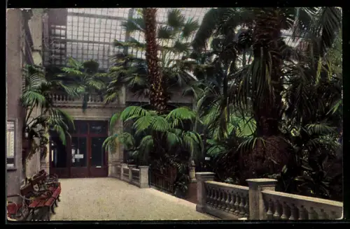 AK Frankfurt-Westend, Palmengarten, Terrasse des alten Palmenhauses